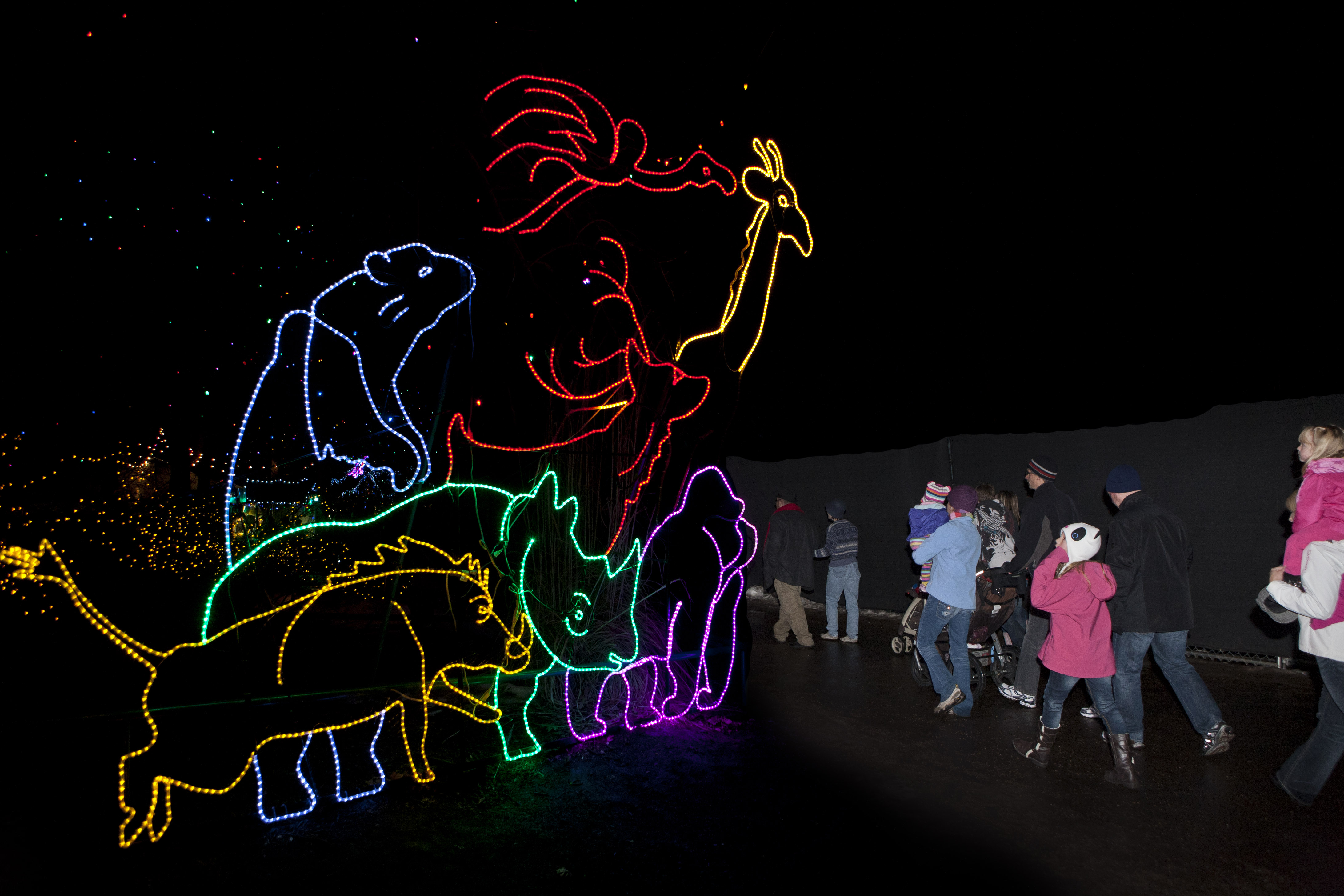 Denver Zoo's Zoo Lights Sparkles With Holiday Fun